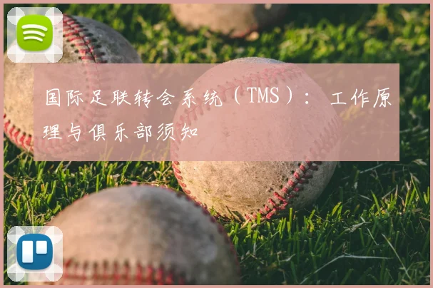 国际足联转会系统（TMS）：工作原理与俱乐部须知